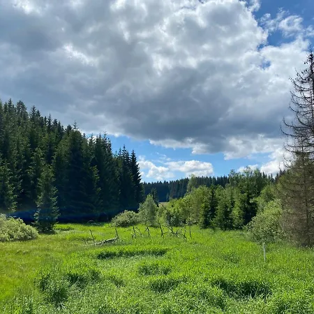 Wellness Florian Ceske Zleby Hotel Stožec