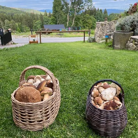 Wellness Florián české žleby Stožec