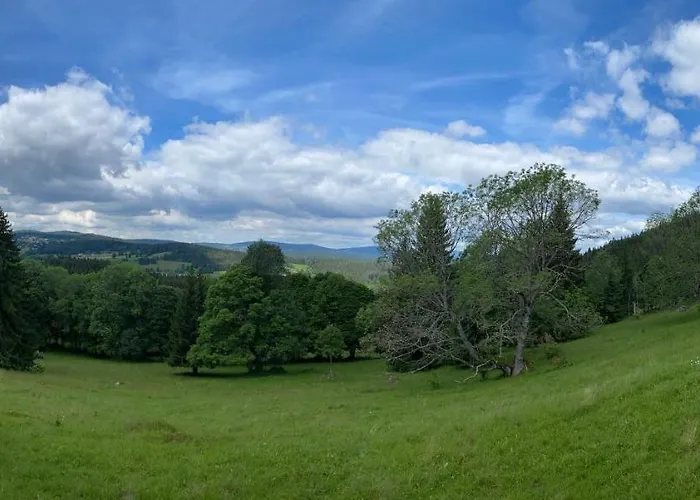 Wellness Florián české žleby 3*