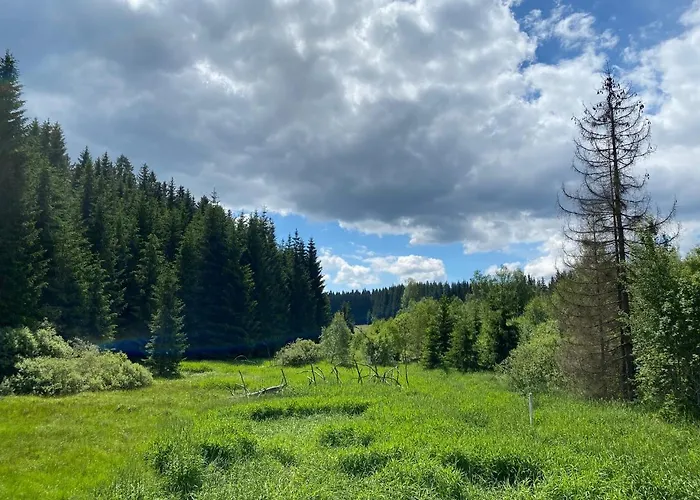 Wellness Florián české žleby Hotel Stožec