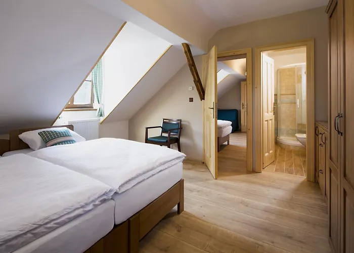 Wellness Florián české žleby 3*